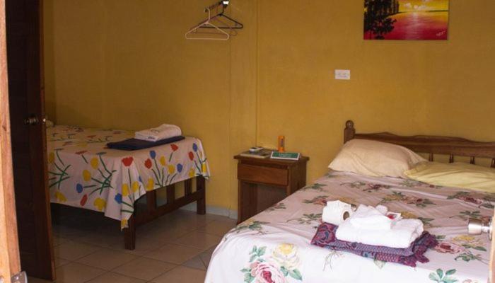 Hilltop Horizon Guesthouse San Ignacio Dış mekan fotoğraf