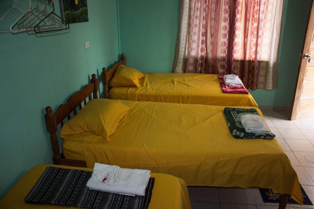 Hilltop Horizon Guesthouse San Ignacio Dış mekan fotoğraf