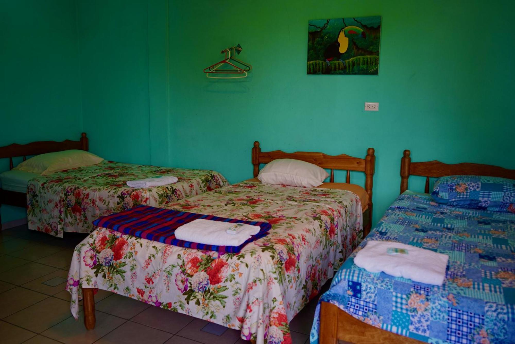 Hilltop Horizon Guesthouse San Ignacio Dış mekan fotoğraf